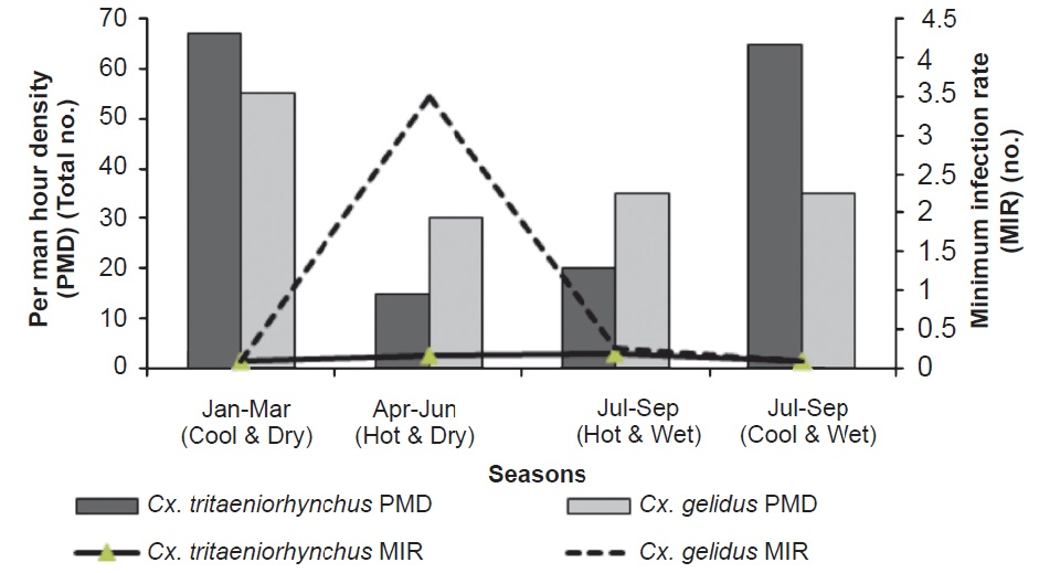 Seasonal abundance of Cx. tritaeniorhychus and Cx. gelidus.